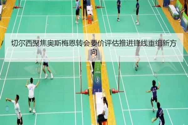 切尔西聚焦奥斯梅恩转会要价评估推进锋线重组新方向