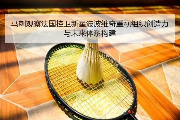 马刺观察法国控卫新星波波维奇重视组织创造力与未来体系构建